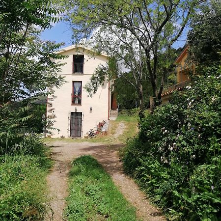 Stellaria Casa Vacanze In Montagna Panorama Stupendo Sardegna Seulo Ngoại thất bức ảnh