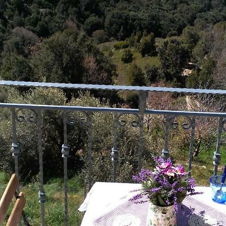 Stellaria Casa Vacanze In Montagna Panorama Stupendo Sardegna Seulo Ngoại thất bức ảnh