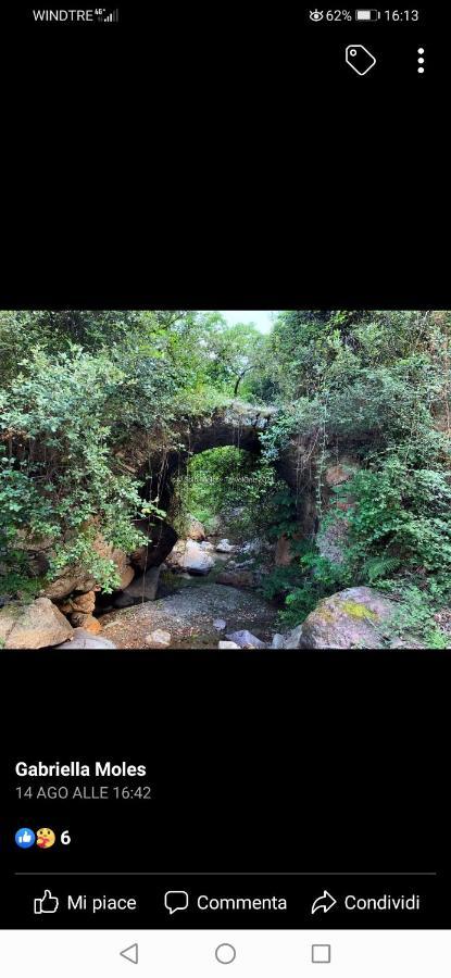 Stellaria Casa Vacanze In Montagna Panorama Stupendo Sardegna Seulo Ngoại thất bức ảnh