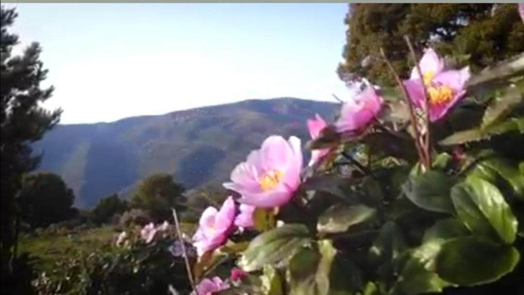 Stellaria Casa Vacanze In Montagna Panorama Stupendo Sardegna Seulo Ngoại thất bức ảnh