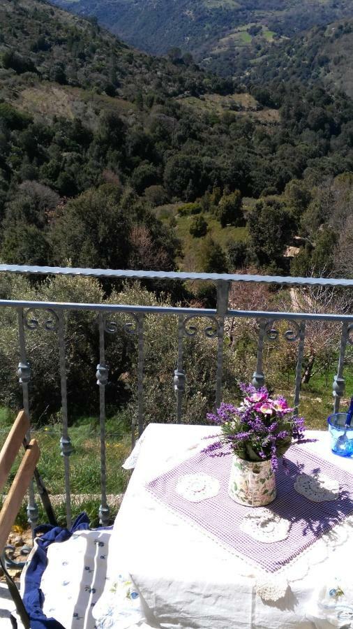 Stellaria Casa Vacanze In Montagna Panorama Stupendo Sardegna Seulo Ngoại thất bức ảnh