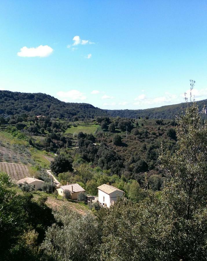 Stellaria Casa Vacanze In Montagna Panorama Stupendo Sardegna Seulo Ngoại thất bức ảnh