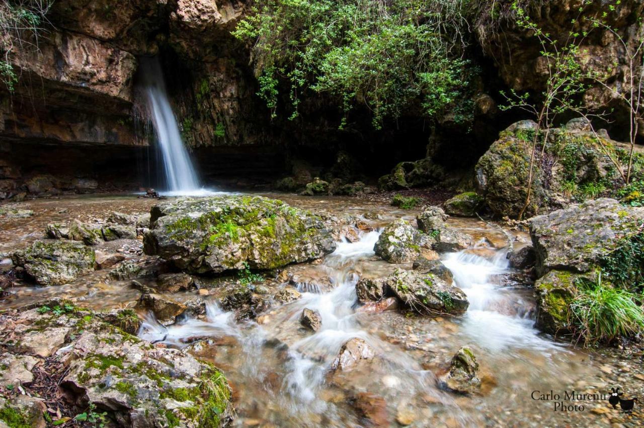 Stellaria Casa Vacanze In Montagna Panorama Stupendo Sardegna Seulo Ngoại thất bức ảnh