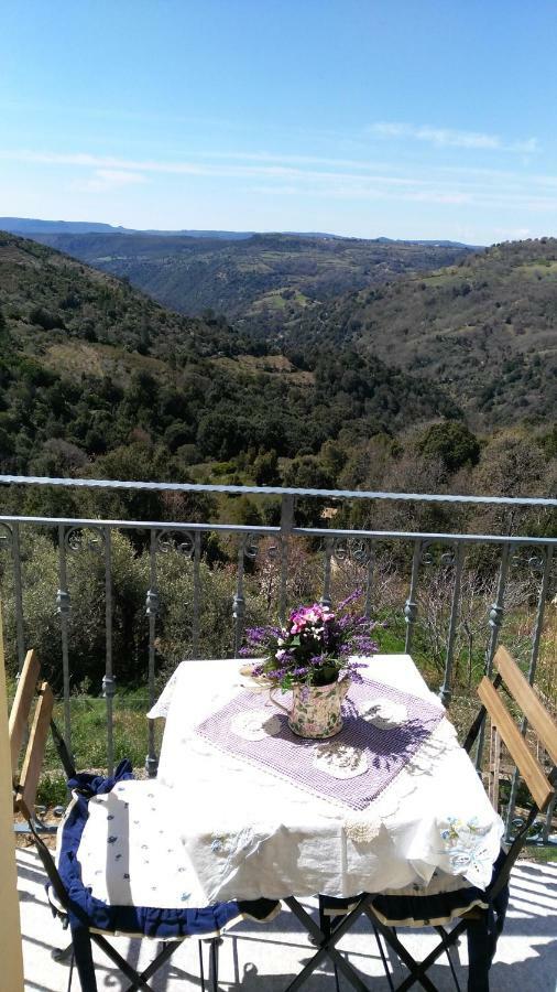 Stellaria Casa Vacanze In Montagna Panorama Stupendo Sardegna Seulo Ngoại thất bức ảnh