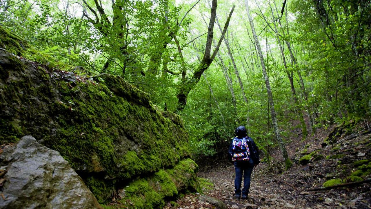 Stellaria Casa Vacanze In Montagna Panorama Stupendo Sardegna Seulo Ngoại thất bức ảnh